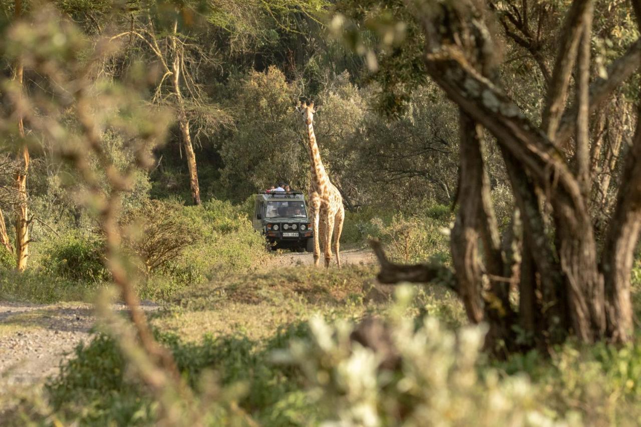 Chui Lodge Naivasha Kültér fotó