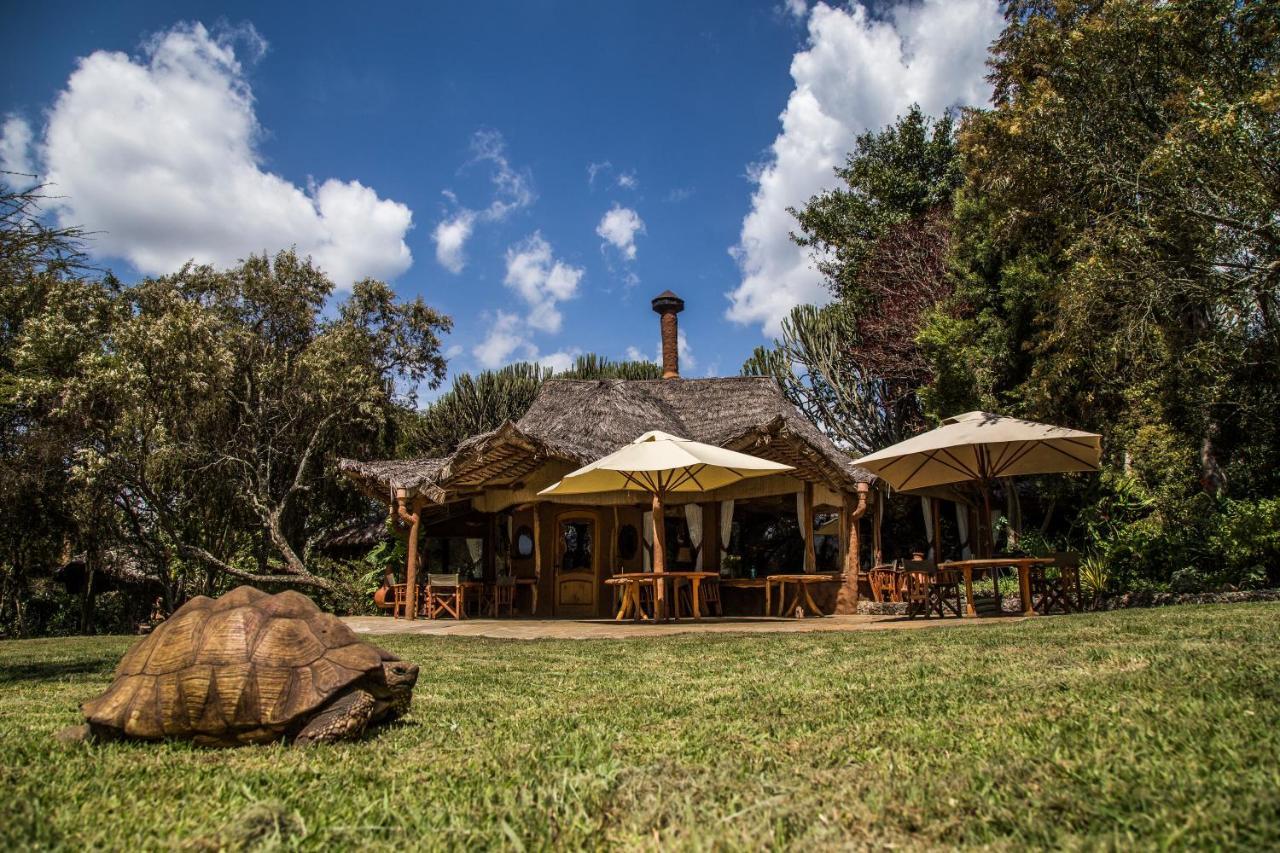 Chui Lodge Naivasha Kültér fotó